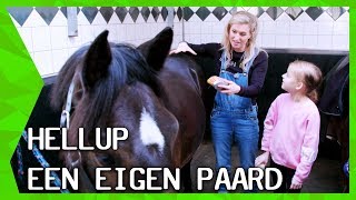 BRITT DEKKER DEELT AL HAAR PAARDENGEHEIMEN  HELLUP EEN EIGEN PAARD  ZAPPSPORT [upl. by Erinna407]