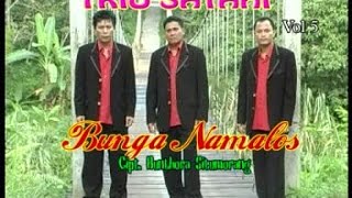 Trio Satahi  Bunga Namalos Official Music Video [upl. by Shanney]