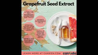 5 Grapefruit Seed Extract Benefits You Won’t Believe shorts [upl. by Darrick]