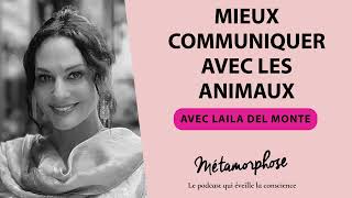 446 Laila del Monte  Mieux communiquer avec les animaux [upl. by Lenna50]