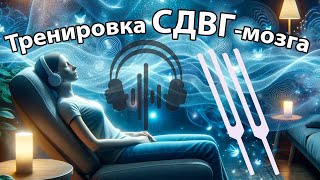 Бинауральная тренировка СДВГмозга 🎧 НАДЕВАЙТЕ НАУШНИКИ [upl. by Raybourne329]