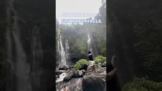 Fiji waterfalls in north bali  best waterfalls in bali travel bali indonesia baliwaterfalls [upl. by Aekal]