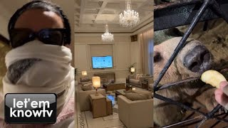 French Montana Gives A Tour Of The Versace Luxury Hotel In Dubai amp Goes To Play With Wild Animals [upl. by Neelloc746]