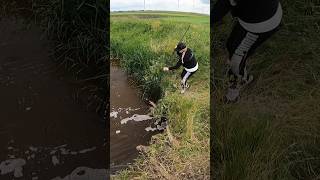 Dicker Hecht im kleinen Polder 🤩 angeln fishing fishingvideo pike pikefishing fish snoek [upl. by Dier]