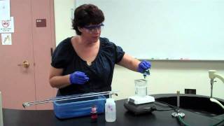 How to Perform an Endospore Stain [upl. by Patsy]