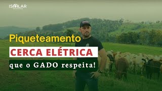 Piquetamento com CERCA ELÉTRICA que o gado respeita [upl. by Lexine]