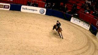 Robert Whitaker and Waterstone jumps 212 m without saddle World Record [upl. by Emeline726]