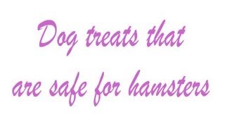 Dog treats that are safe for hamsters [upl. by Tacklind]