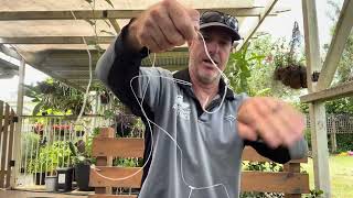 How to Tie a Paternoster Rig [upl. by Geier]