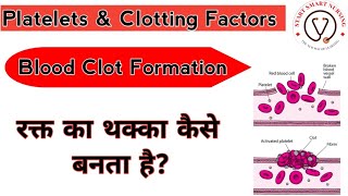 Platelets Clotting Factors Blood Clot Formation Coagulation Of Blood Coagulation Process [upl. by Nesto]