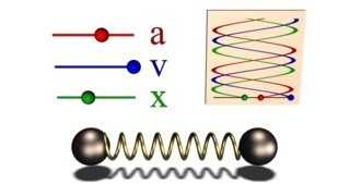 352  Oscillation of two balls bound with a spring [upl. by Rebor920]