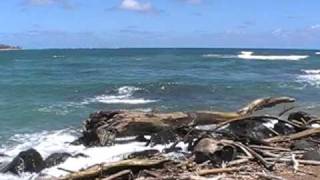 Wailua Bay Kauai  video 1 [upl. by Yruy]