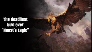 The deadliest bird ever Haasts Eagle [upl. by Rengaw]