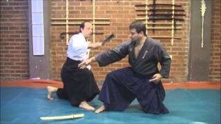 Ogawa Ryu TessenJutsu France Daihyousha  in Valencia [upl. by Eseela]