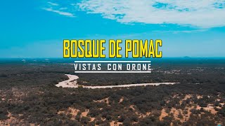 Santuario Histórico  BOSQUE DE POMAC  Vistas con DRONE 4K [upl. by Anegue55]