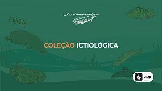 Coleção Ictiológica [upl. by Calla]