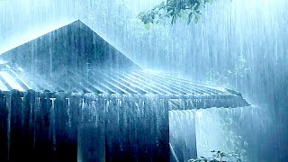 Rain amp Thunderstorm Sound Nature amp Rain Sounds to Relax Meditate Study amp Fall Asleep real rain [upl. by Pachston]