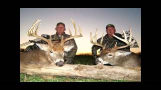 Golden Triangle Whitetail Bucks [upl. by Gasser]