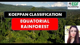 Equatorial Rainforest Climate l Koeppens Climate Classification l Equatorial Rainforest Biome [upl. by Airekat]