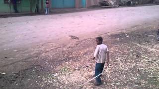 Whip Arsi Negele Ethiopia [upl. by Annorah]