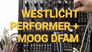 Upgrade al sequencer del Moog DFAM con Westlicht Periformer [upl. by Garbers]