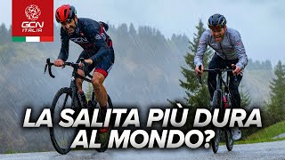 Zoncolan è la salita più dura del ciclismo moderno [upl. by Auoh]