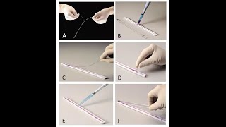 Two dimensional gel electrophoresis Part 1 Isoelectric Focusing IEF [upl. by Valiant903]