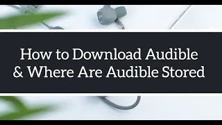 How to Download Audible BooksampWhere Are Audible Files Stored 2020 [upl. by Itnavart208]