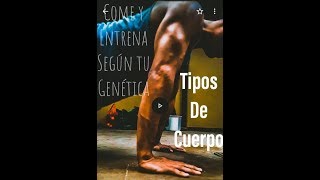 Tipos de CUERPO Ectomorfo Mesomorfo y Endomorfo en HOMBRES Y MUJERES ¿Cómo Entrenarlos [upl. by Ranger69]