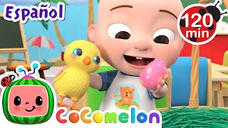 Celebra pascuas con Cocomelon  Canciones Infantiles  Caricaturas para bebes  CoComelon en Español [upl. by Stephie]