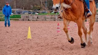 Henning Daude beim quotSeehof Stablequot im März 2016 [upl. by Elletnuahc]