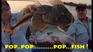 Topwater Bream Flathead and Tailor on the MMD Splash Prawn [upl. by Nytsirhc218]