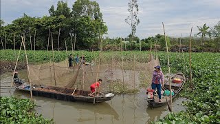 Life at the MEKONG RIVER DELTA VIETNAM 🇻🇳 [upl. by Moor]