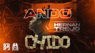 Hernan Trejo  Ando Chido Official Video [upl. by Depoliti]