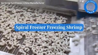 Frozen Shrimp in a Flash Spiral Freezer Power [upl. by Kyd710]