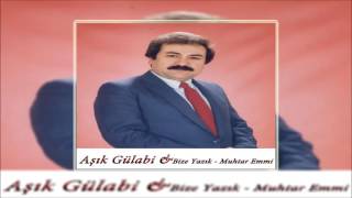 Aşık Gülabi amp Meyvesiz Ağaç © Şah Plak Official Audio [upl. by Malvia214]