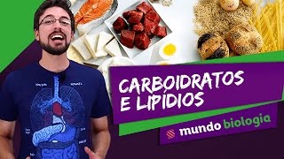 🧬 Bioquímica 35 Carboidratos e Lipídios  Biologia  ENEM [upl. by Roberts665]