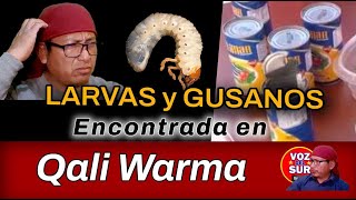 Qali Warma presencia de larvas o gusanos en las latas repartidas por el programa en Piura [upl. by Cindy]