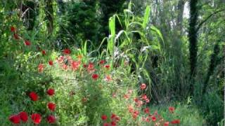 UMBRIA  Ben venga MAGGIO  Full HD [upl. by Sula]