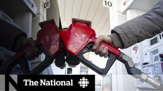 What you need to know about the federal carbon tax [upl. by Annirak]