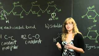 Covalent Bonds  MIT 701SC Fundamentals of Biology [upl. by Snider]