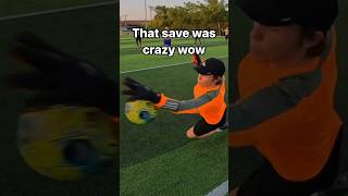 INSANE GOALIE SAVES goalkeeper soccer football [upl. by Reiter524]