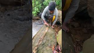 Really Hard To Crack It 🤯 crystals gems gold rockhounding satisfying [upl. by Treblih537]