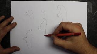 How to draw scroll designs The basics [upl. by Nylhtiak]