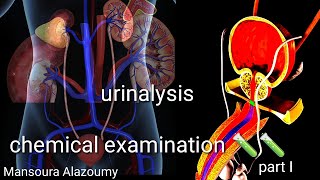 Urinalysis chemical examination 🧪🧪 [upl. by Clark710]