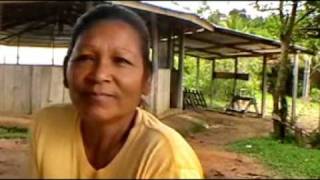 We visit an Arawak indian settlement and speak with some women tribal chief Daniel Gomez [upl. by Adnouqal839]