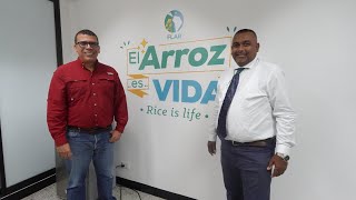 Mahendra Persaud jefe científico en GRDB habla de la VARIEDAD de ARROZ BIOFORTIFICADA🌾 [upl. by Armin]