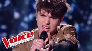 Patrick Bruel – Casser la voix  Antoine  The Voice France 2016  Prime 1 [upl. by Tyre]