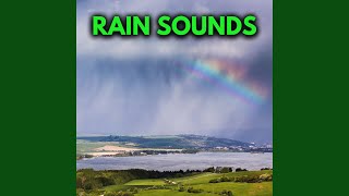 Rainfall Asmr For Sleeping [upl. by Iroc]