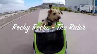 DoggyRide  Rocky Rocks The Rider [upl. by Atiuqehs]